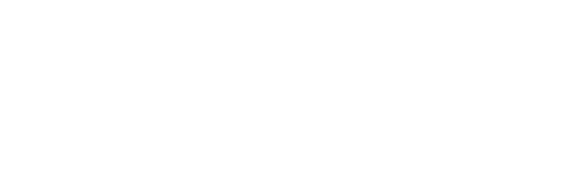Asset Dash